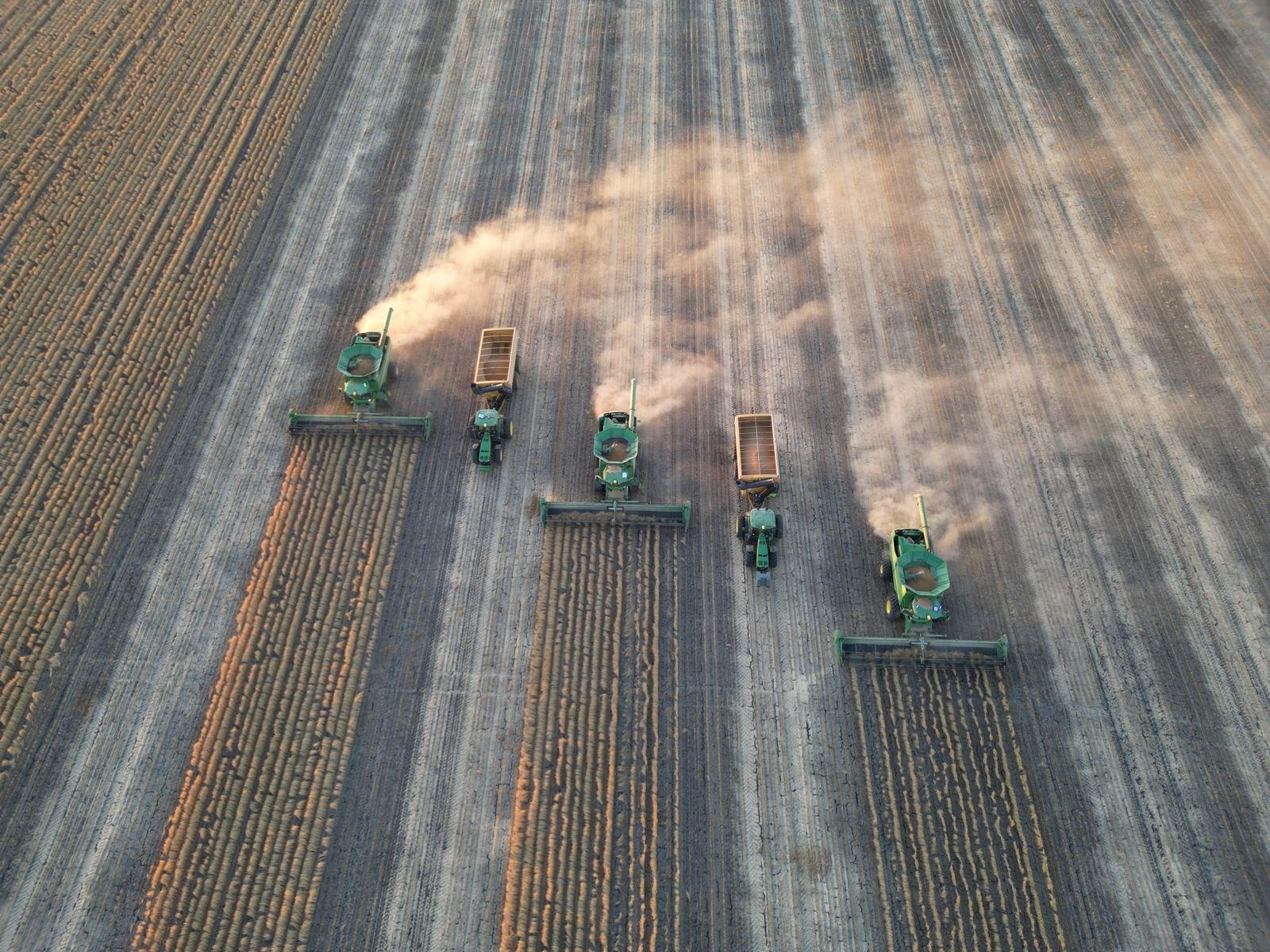Harvest fleet of headers working a paddock at sunset