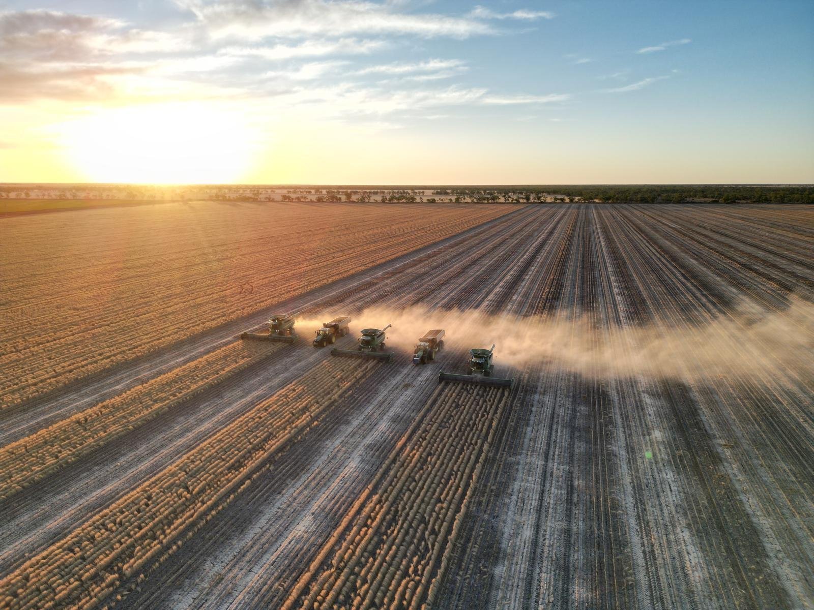 Harvester trailing a dust plume into a sunset sky