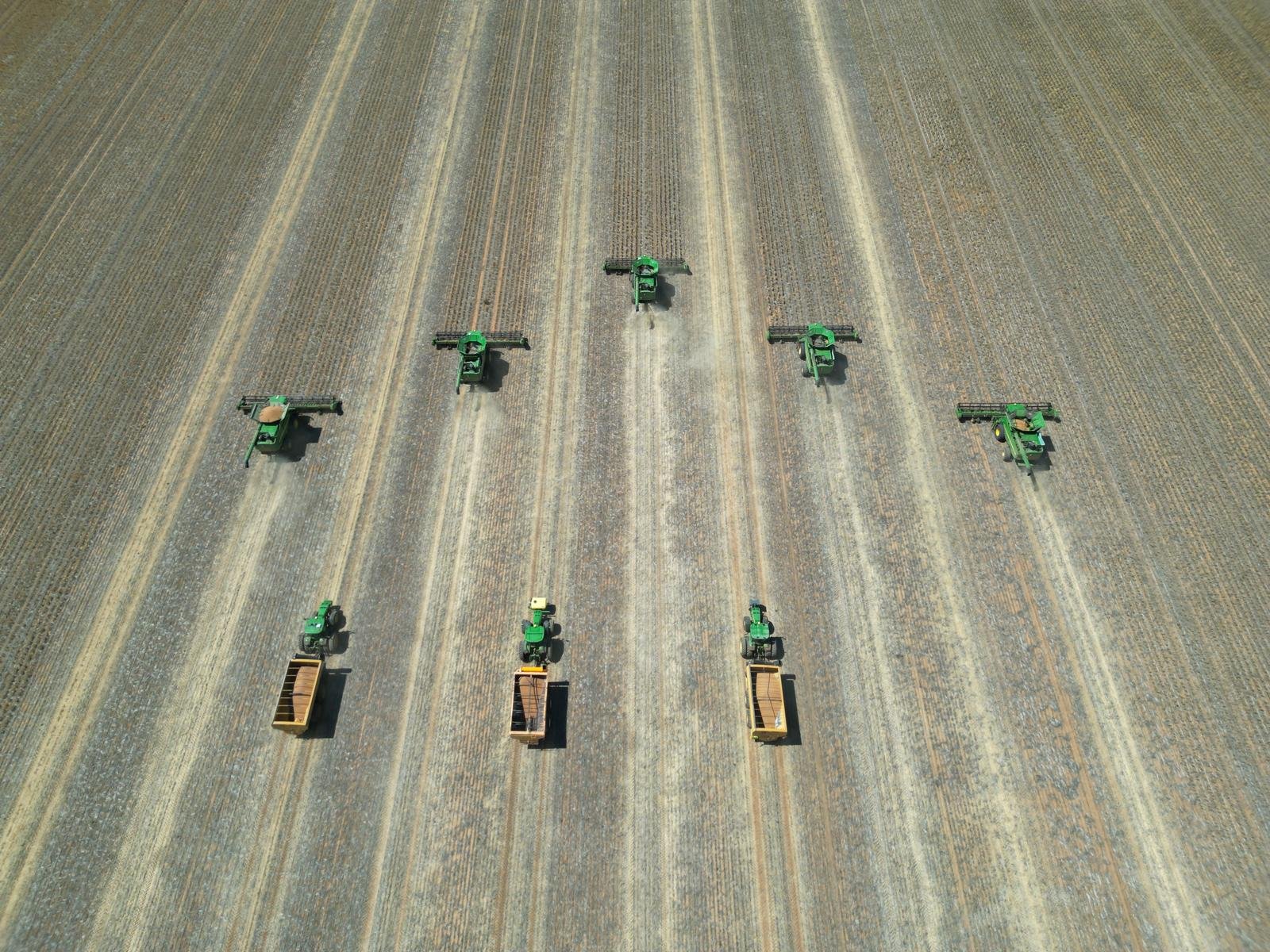 Top-down view of a header crew harvesting stubble