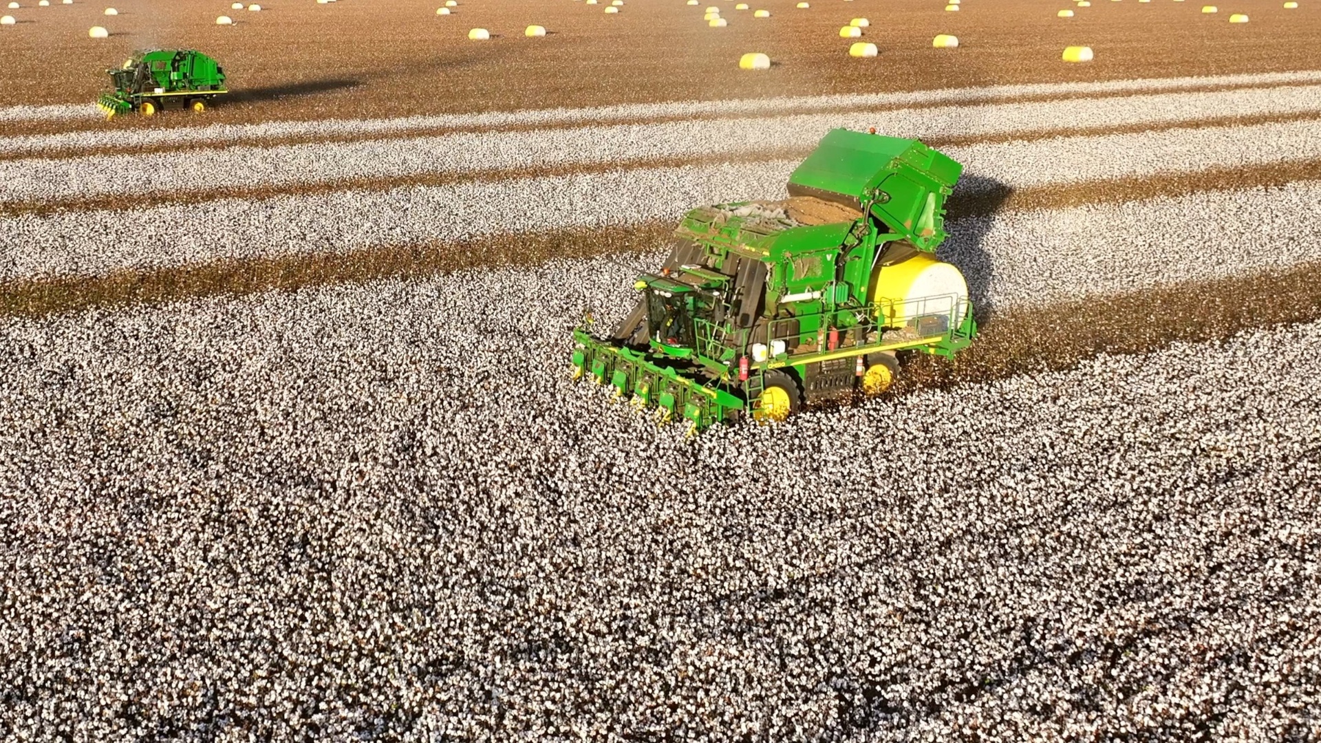 Cotton Picking